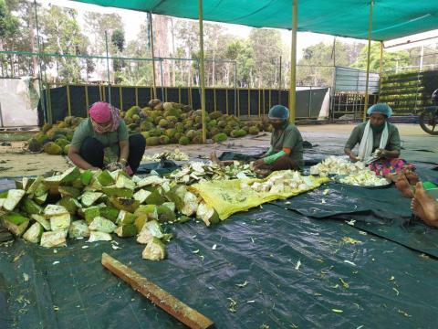 Jack Processing in progress