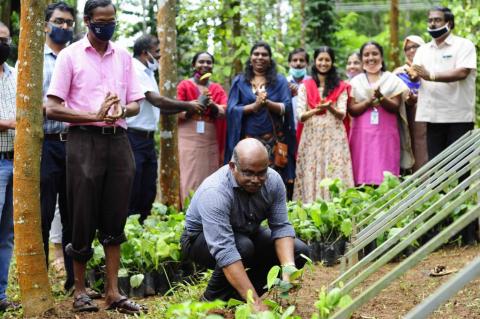 Pepper planting drive