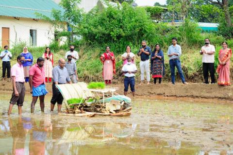 Inauguration of paddy cultivation under the subhiksha keralam special drive at RARS farm